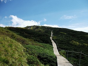 大山頂上間近木道