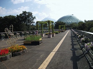 花回廊　フラワードーム