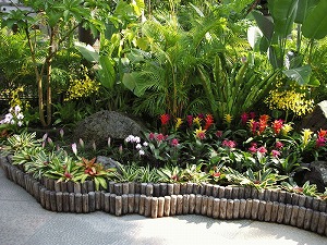 花回廊　フラワードームの中