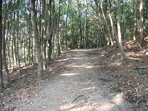 六甲縦走後半　山道