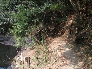 国道４２８号を横切る